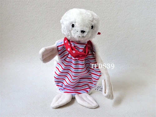 Tcm robbe seehund - robbe,
