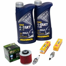 Inspektion Paket Öl 2L für