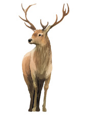 9X Autoaufkleber Sticker