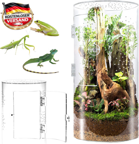 Zylindrisches terrarium für - zylindrisches,