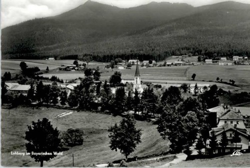 Lohberg lam - lohberg,