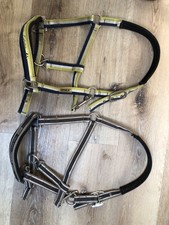 Zwei Eskadron V/Cob Halfter