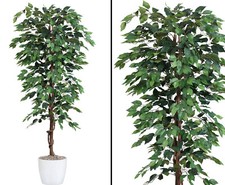 Kunstbaum 200cm Ficus