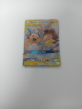 Pokemon Karte Raichu und Alola