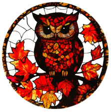 Wandbild oder Fensterbild Eule