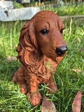 Golden Red Cocker Spaniel Hund