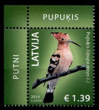 Vögel. Wiedehopf. 1W. Eckrand (4). Lettland 2014