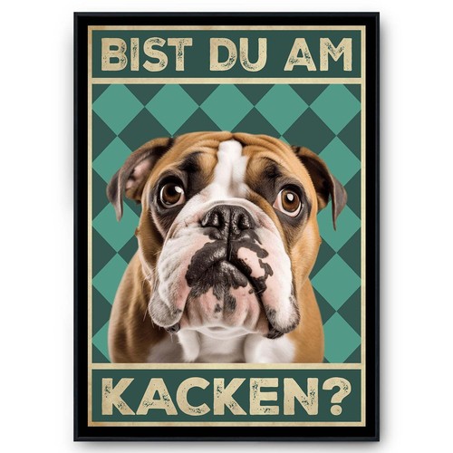 Englische bulldogge bist du - bulldogge,
