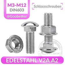 Schloßschrauben mit Muttern