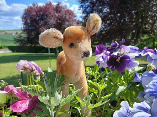 Steiff rehkitz bambi - rehkitz, 60'er