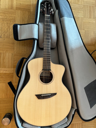 Ibanez pa300e nsl - pa300e-nsl, modern