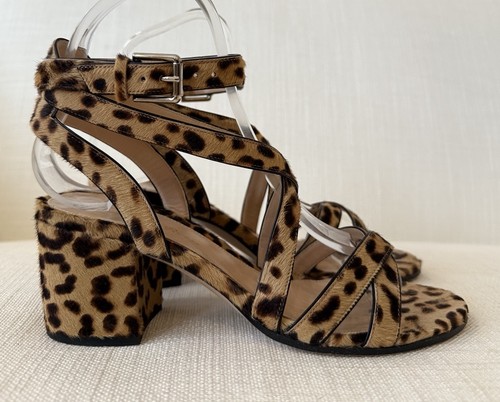 Gianvito rossi leopard - rossi,