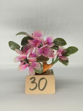 Edelstein Bonsai Jade Baum