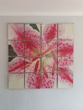 Photowand "Lilie" von Werkhaus 120x120 cm Wandbild Kachelbild Mosaik