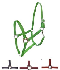 HKM Halfter -Stars Economy- Kaltblut