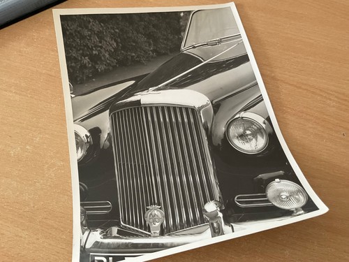 1950 bentley s1 - bentley,