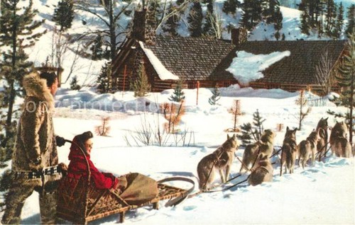 Schlitten schnee - schlitten,