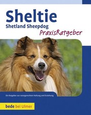 Sheltie | Charlotte Schwartz |