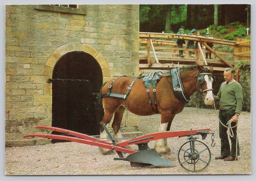 C45593 auenland pferd und - c45593,