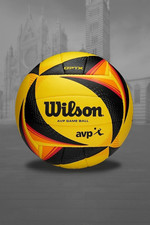 Wilson Professional Regulatory