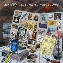 White Water White Bloom von