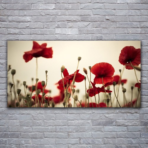 Wandbilder glasbilder druck - glasbilder,