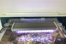 Dupla Marin Ocean Lux Meerwasser Beleuchtung Lampe mit Controller