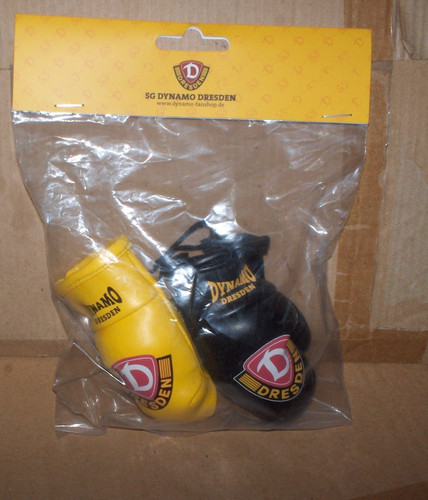 Dynamo dresden autospiegel - dresden,