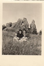 Foto Timmenrode Harz Thale