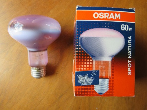 Osram concentra r80 - concentra, spot