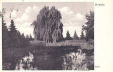AK Driebitz bei Fraustadt -  Parkansicht - Aufn. Tschäter - gel. 1937 - Wschowa