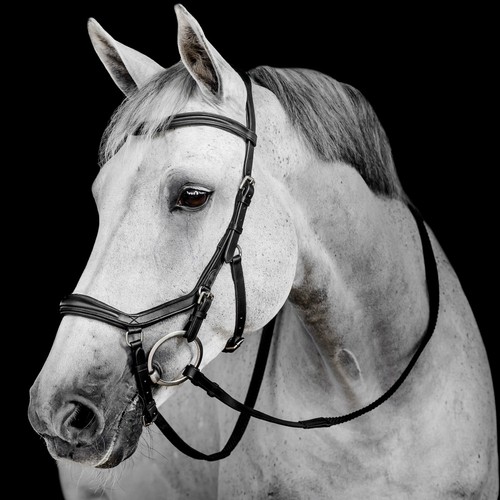 Horseware micklem deluxe - micklem,
