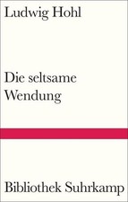 Die seltsame Wendung: Novelle