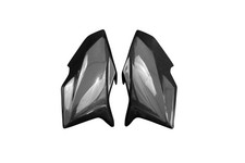 Carbon Seitenverkleidung für