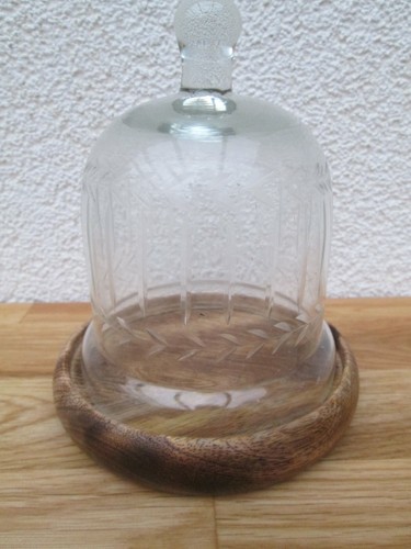 Glasglocke auf mango holz - mango,