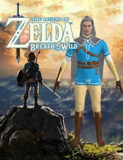 The Legend of Zelda Link