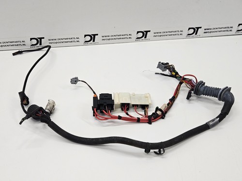 Smg wiring harness - smg,