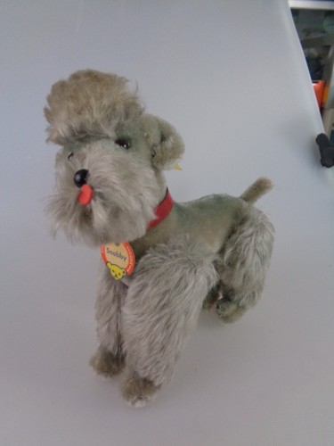 Steiff pudel snobby 5322 - pudel,