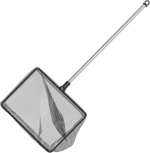 Aquarium fischkescher mit - aquarium,