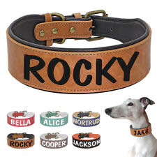 Personalisiert Hundehalsband