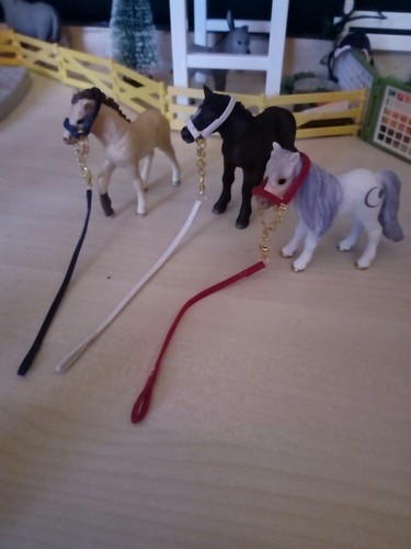 Set pony leder halfter - , set-pony