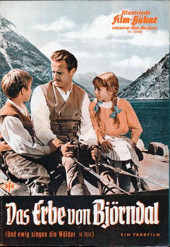 Der erbe von - björndal,
