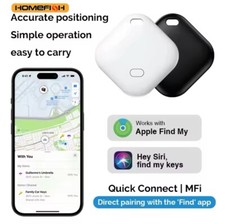 Mini World Tag (Apple Find Me)