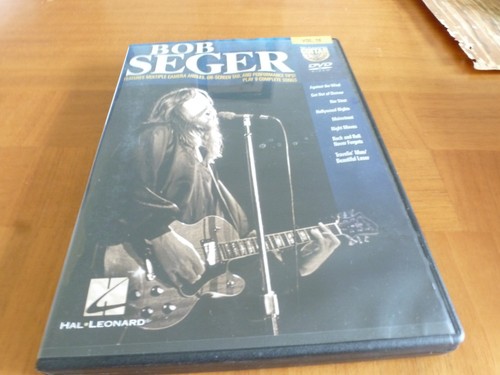 Guitar play along - guitar, seger
