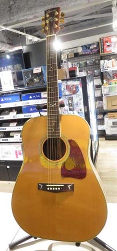 Ibanez aw300 artwood - /,