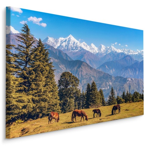 Canvas leinwand bilder - canvas,