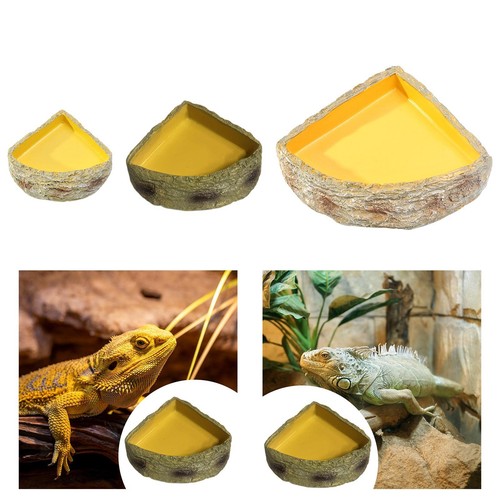 Reptilienwasserschale