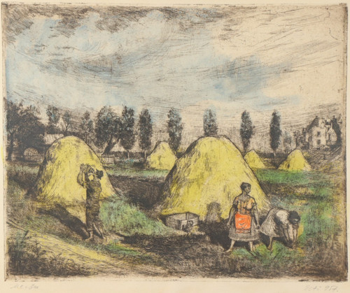 Tibor silberhorn palántázás - silberhorn,