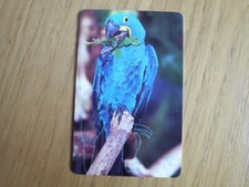 P 02   01.01, Telefonkarte,  Hyazinth-Ara,  TK