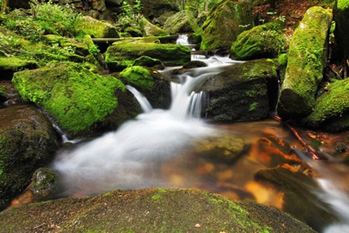 Wandbild wasserfall resov - wasserfall,